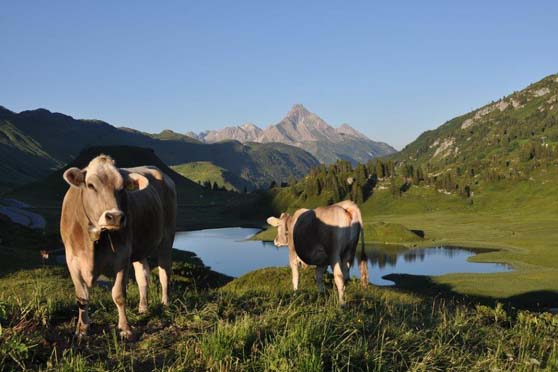 Foto Bergwandern